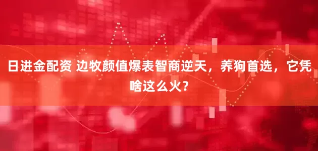 日进金配资 边牧颜值爆表智商逆天，养狗首选，它凭啥这么火？
