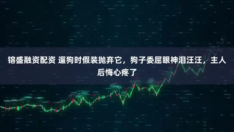 镕盛融资配资 遛狗时假装抛弃它，狗子委屈眼神泪汪汪，主人后悔心疼了